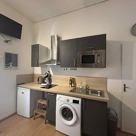 Charment Dans Le Centre De Apartament